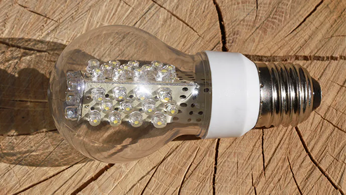 LED-Retrofit-Lampe liegt auf Holz